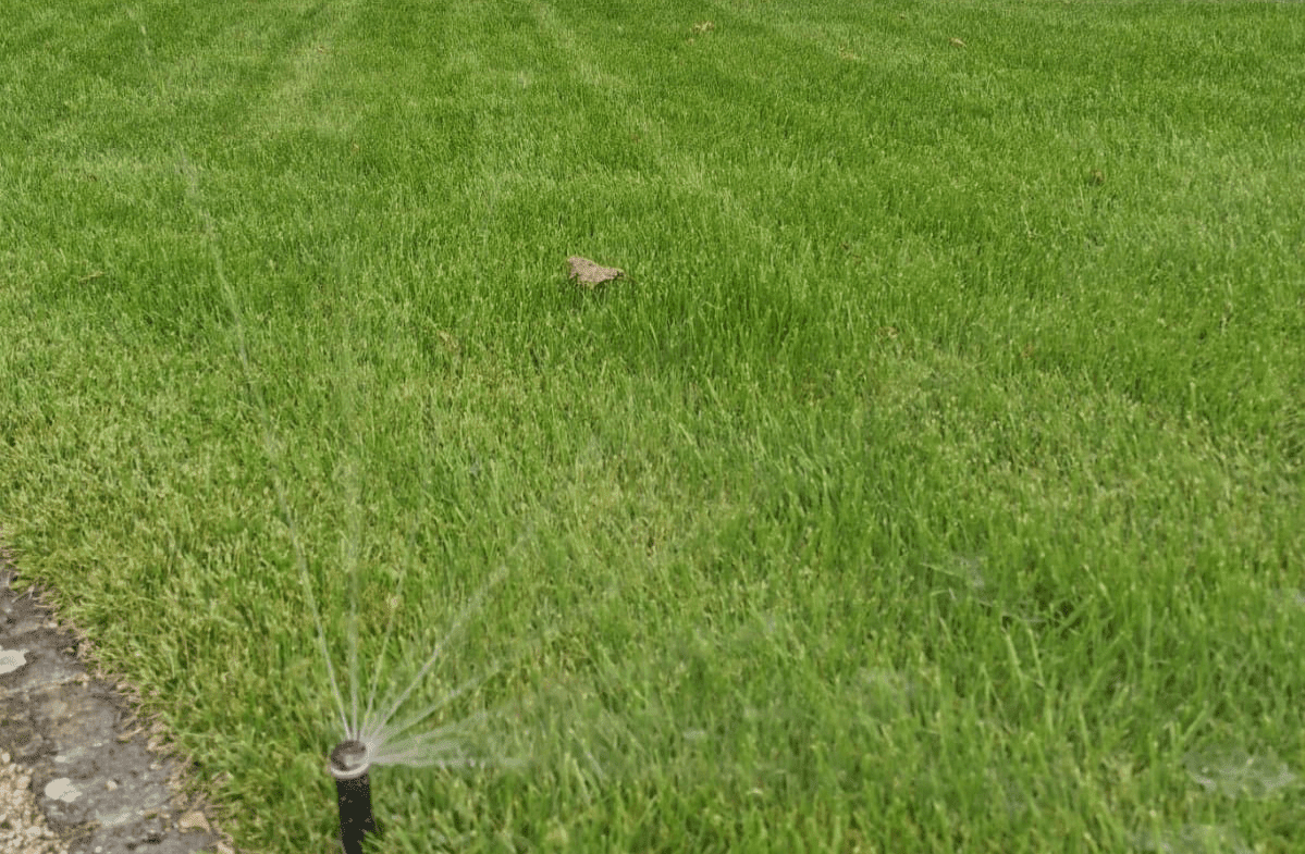 Ambition Paysage Sàrl – réalisation d’arrosage automatique – création et entretien de jardin