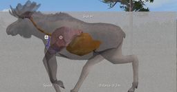 Hirvi ammuntasimulaattorissa