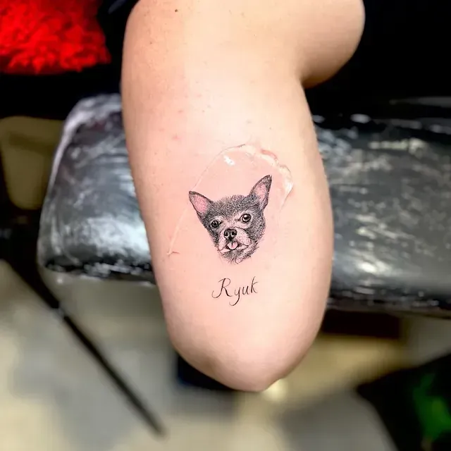 Una persona tiene un tatuaje de un chihuahua en el brazo.