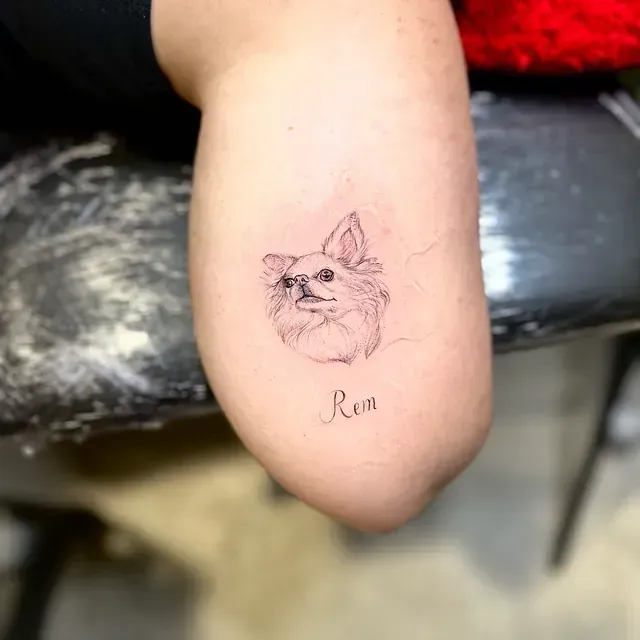 Una persona tiene un pequeño tatuaje de un chihuahua en su brazo.