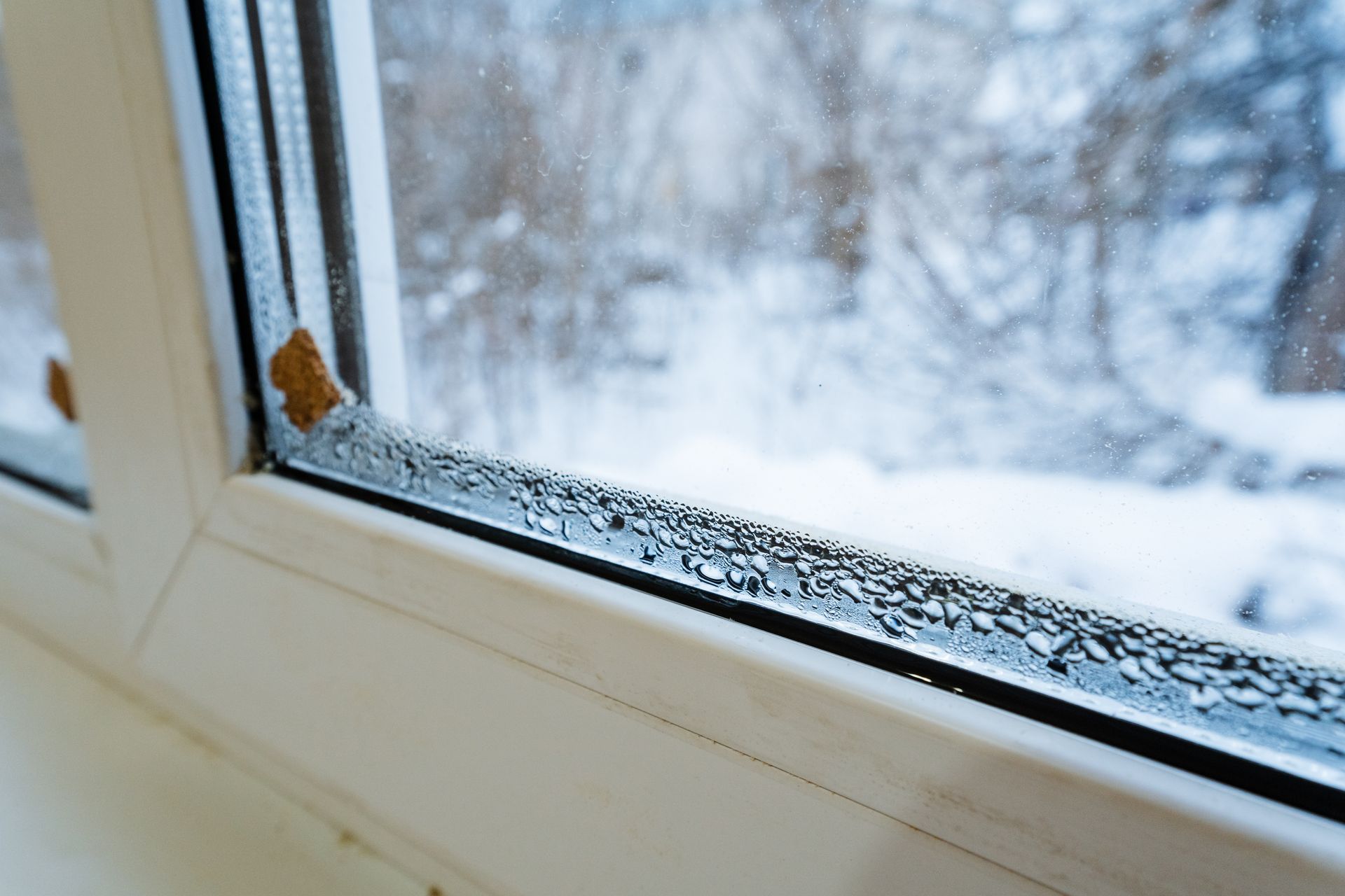 Maison avec porte d'entrée et porte de garage assorties.