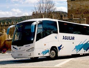 Autobús blanco de la marca Aguilar estacionado al borde de la carretera, cerca de muros de piedra y colinas.