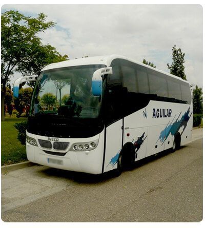 Un autobús turístico blanco y negro estacionado en una carretera junto a unos árboles, con detalles azules y un cielo nublado.