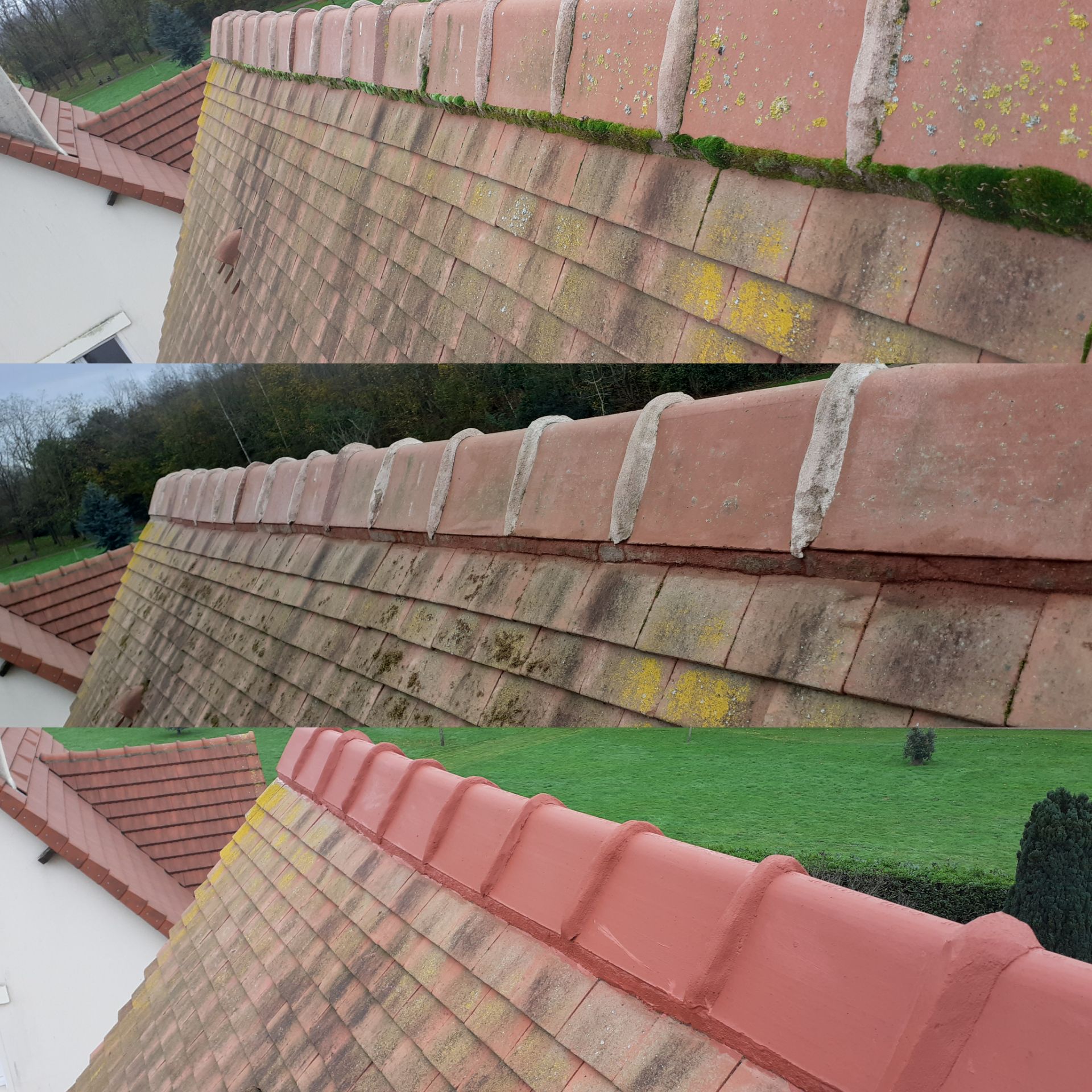 Montage de plusieurs étapes pour retirer les mousses d'une toiture