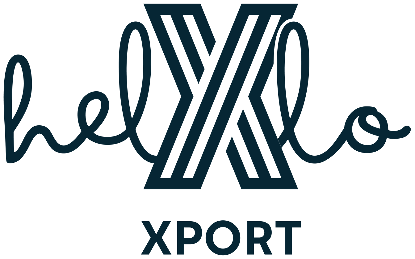 hallo xport logo ildmarke