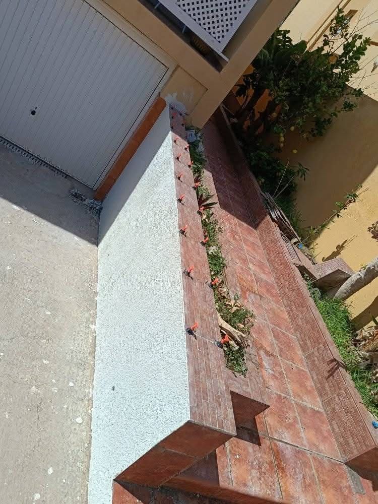 Vista inclinada de una jardinera en la azotea, junto a un garaje, con bordes de ladrillo rojo y escasas plantas verdes.