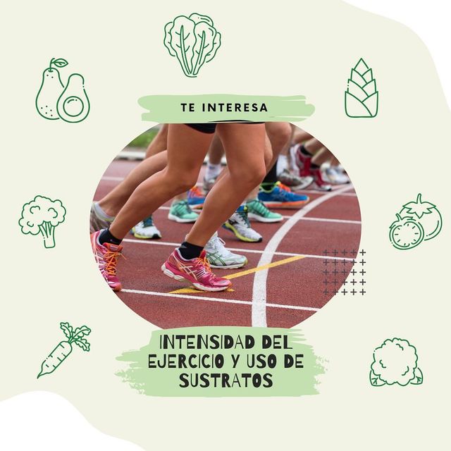 Un grupo de personas está corriendo en una pista.