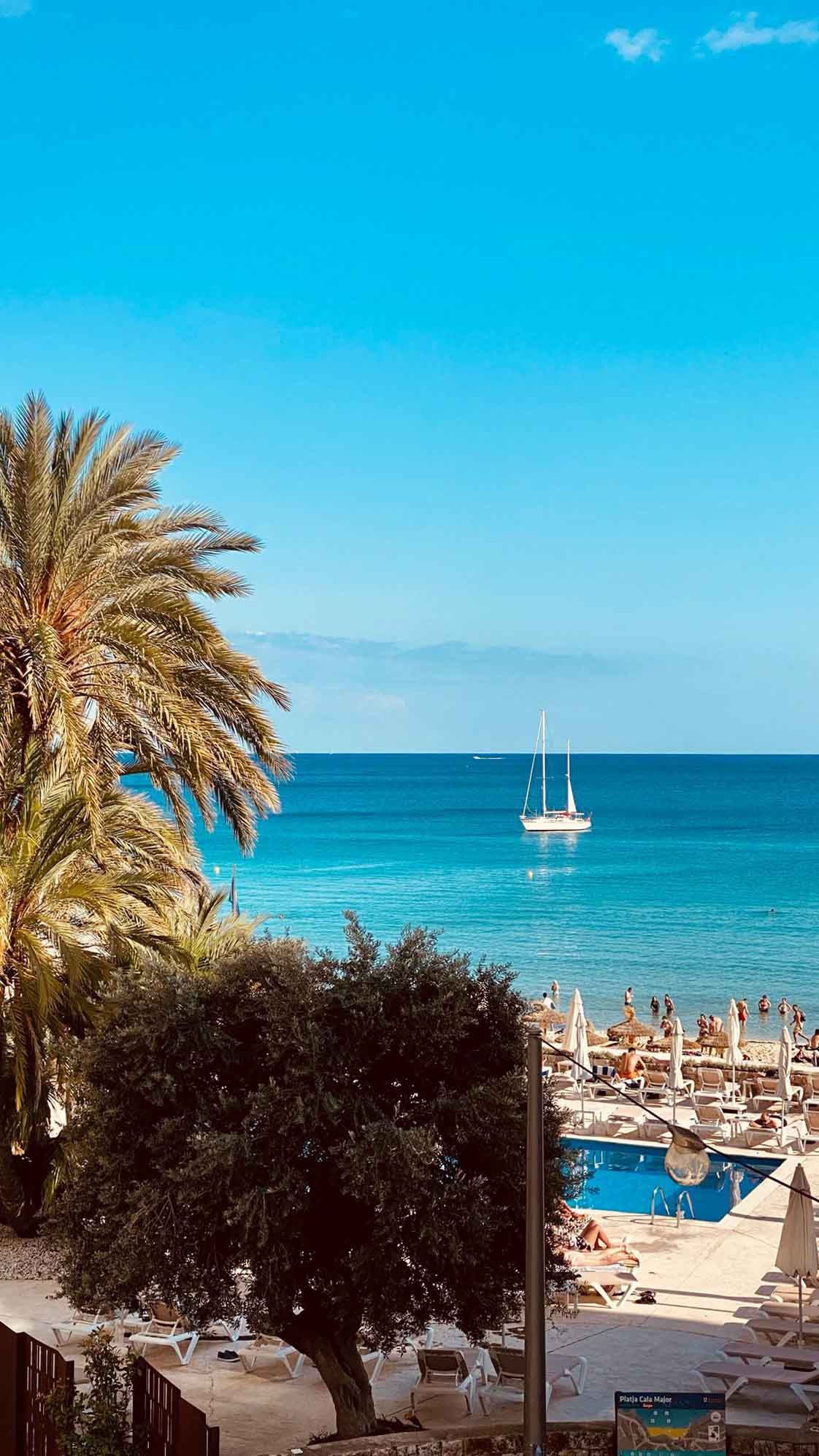 A view of a beach with palm trees and a boat in the ocean.