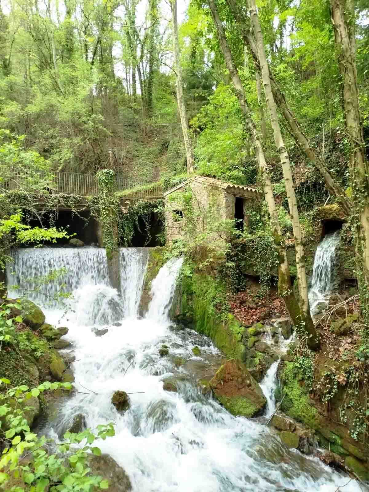 Una pequeña cascada en medio de un bosque rodeada de árboles.