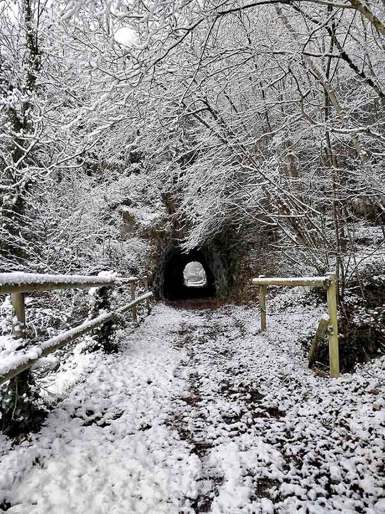 Un túnel nevado en medio de un bosque con árboles cubiertos de nieve.