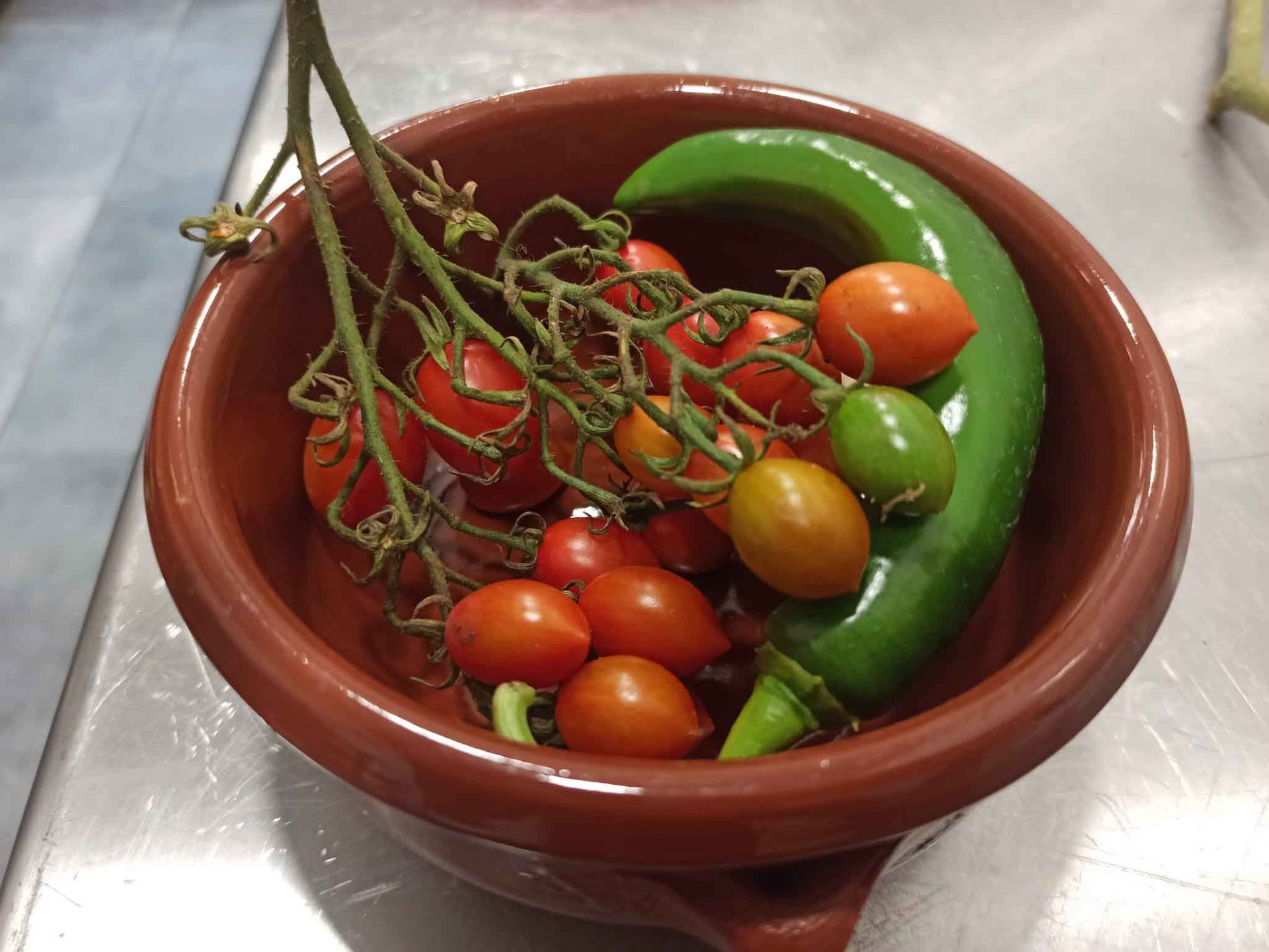 Un bol de tomates y pimientos verdes sobre una mesa.