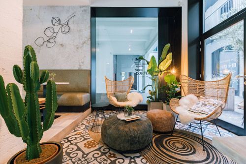 Coin salon confortable avec cactus, fauteuils en osier, tapis à motifs et grandes fenêtres.