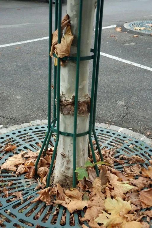 ABDF Bonadei & Chassot - Soins racinaires