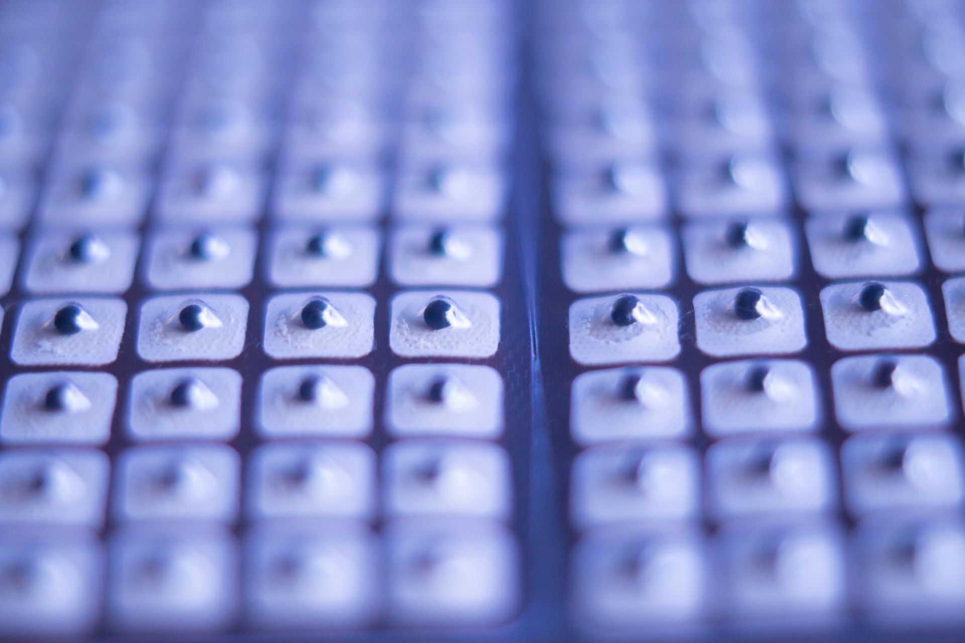 Cloux et pansements oreilles