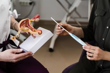 Dos personas examinando una pelvis de modelo y un portapapeles en un entorno clínico.