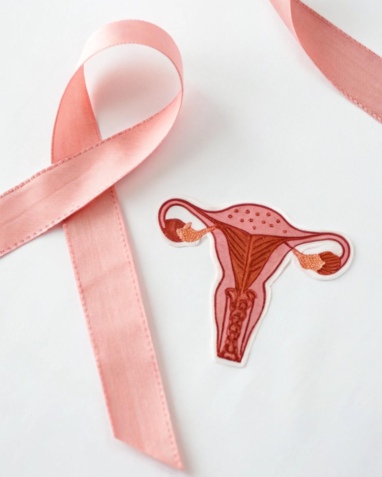 Lazo rosa con ilustración de útero sobre fondo blanco para la lucha contra el cáncer de mama.