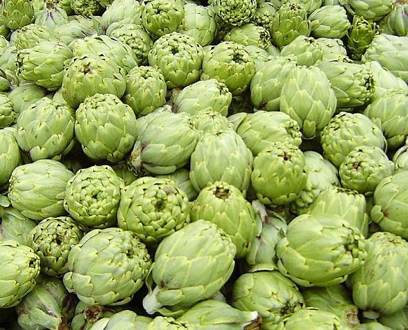 Una gran pila de alcachofas verdes frescas, apiladas muy juntas.