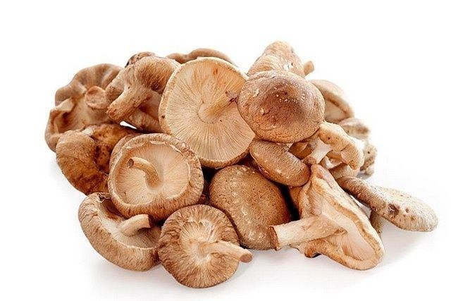 Un montón de setas shiitake marrones con sombreros redondeados y tallos cortos sobre un fondo blanco.