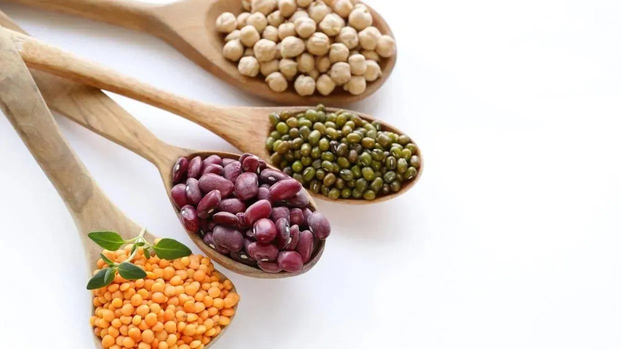 Cuatro cucharas de madera sobre un fondo blanco, cada una rellena de diferentes frijoles, lentejas y legumbres de colores.