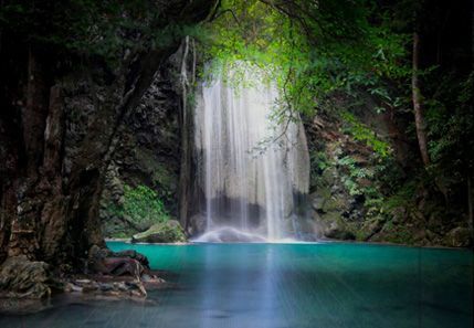 Una cascada en medio de un exuberante bosque verde rodeado de árboles.