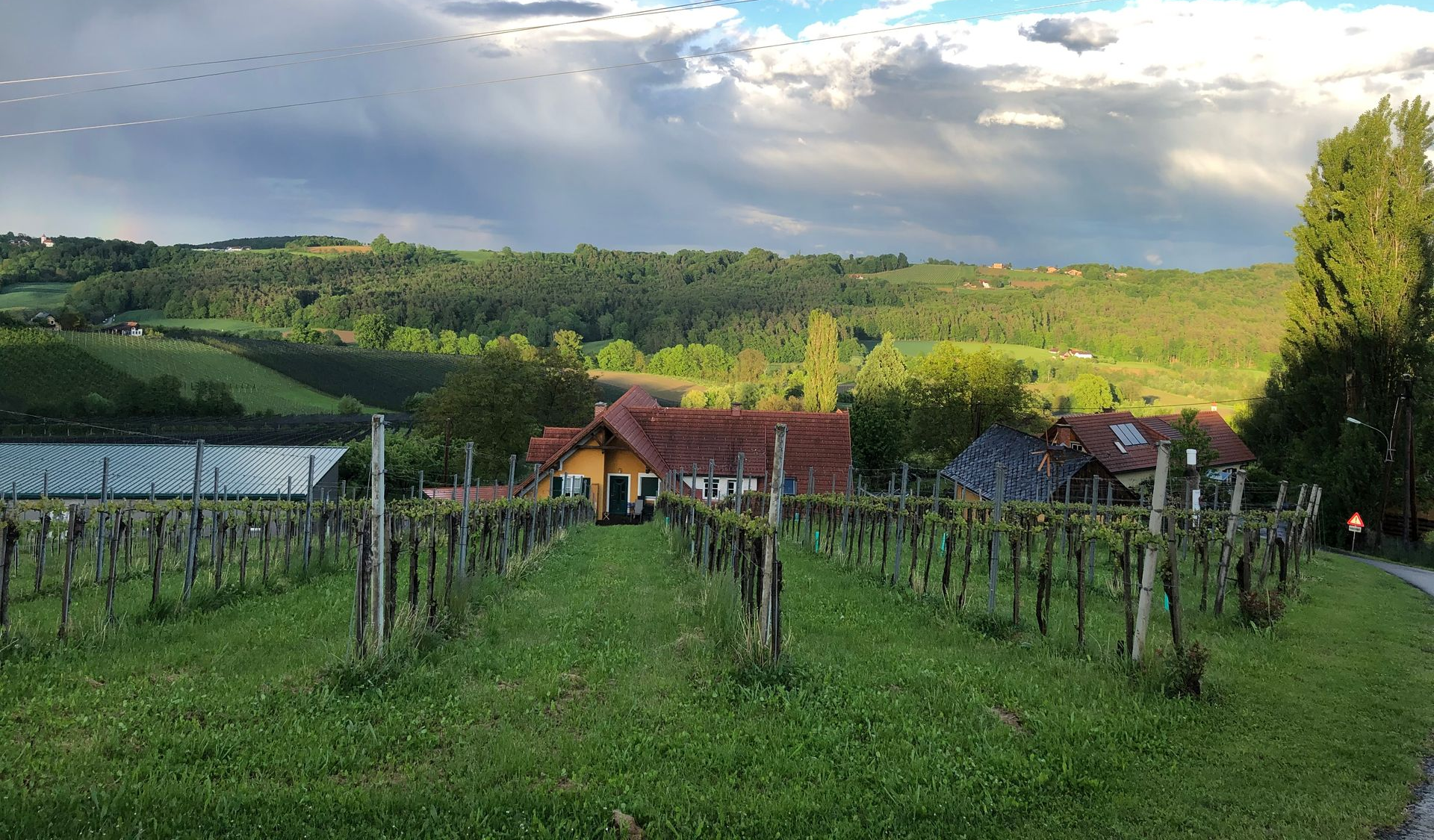 Wissenswertes & Hausregeln – Altstadt-Apartments Bad Radkersburg für Ihren Aufenthalt. Bild Klöch. Wein-Partner. 