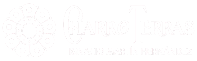 Logotipo blanco, apenas visible, con el emblema de un &aacute;rbol y las palabras &ldquo;Enfermer&iacute;a de Salud P&uacute;blica&rdquo; y &ldquo;Condado de Morris&rdquo;.