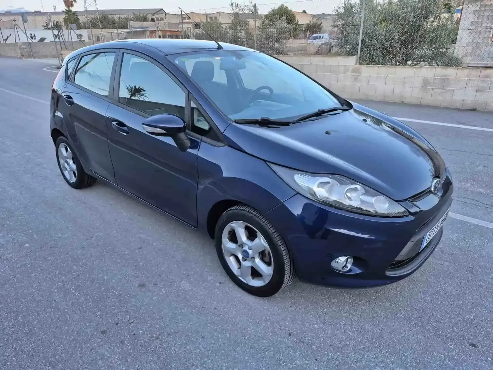 Ford Fiesta azul estacionado en la carretera asfaltada.