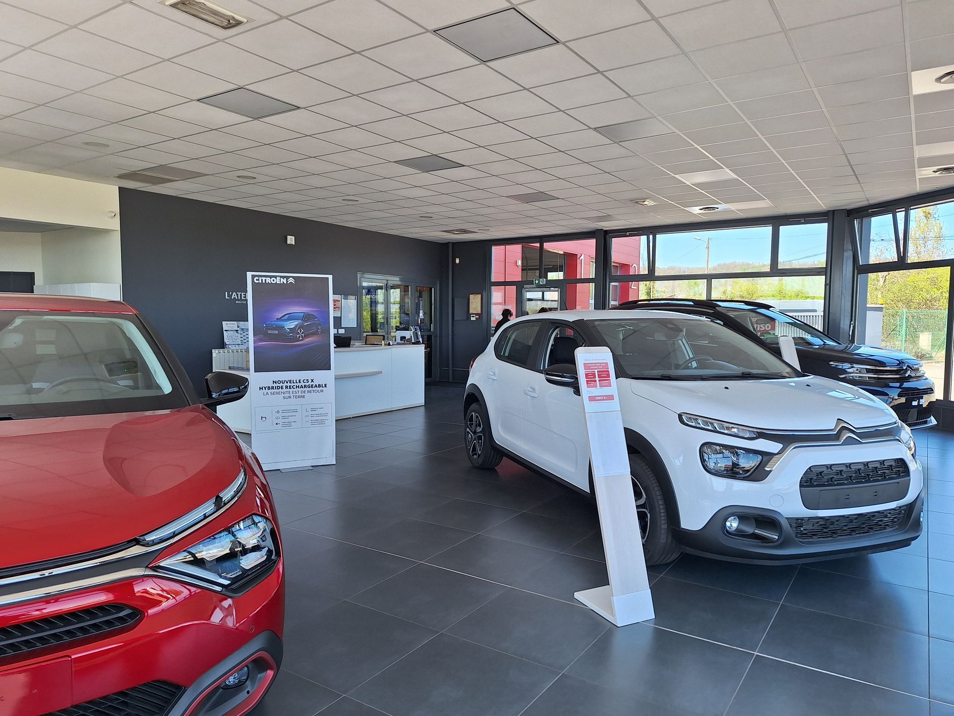 Vue intérieure d’un showroom automobile avec modèles Citroën exposés