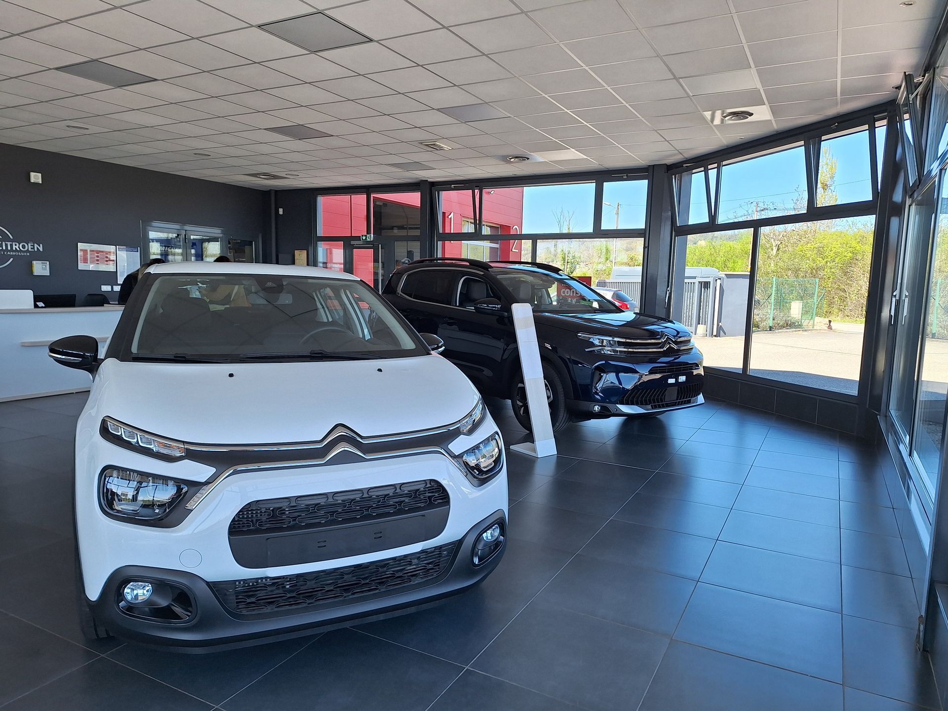 Véhicules Citroën exposés à l’intérieur d’un showroom lumineux avec baies vitrées
