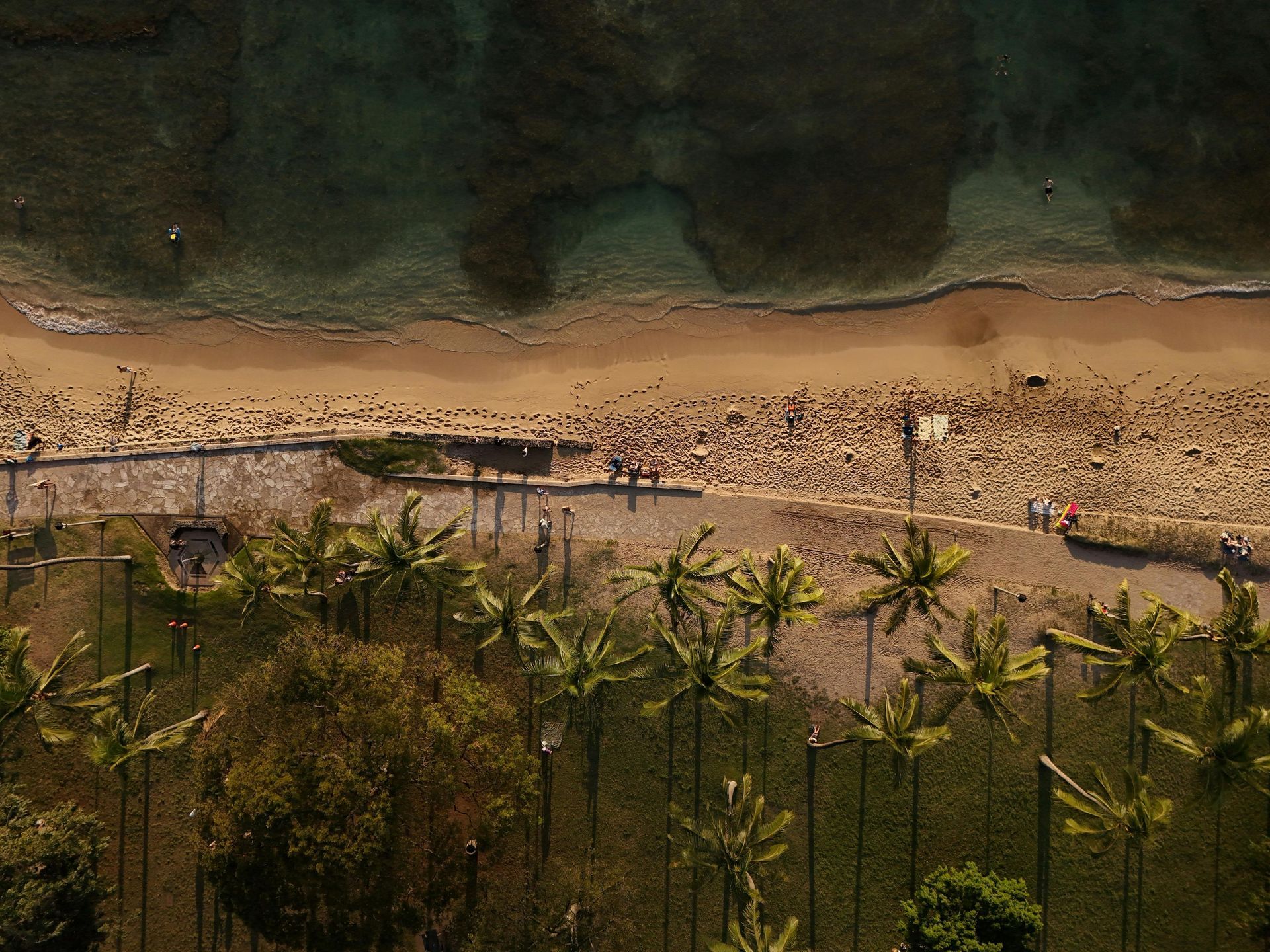 Una vista aérea de una playa rodeada de palmeras.