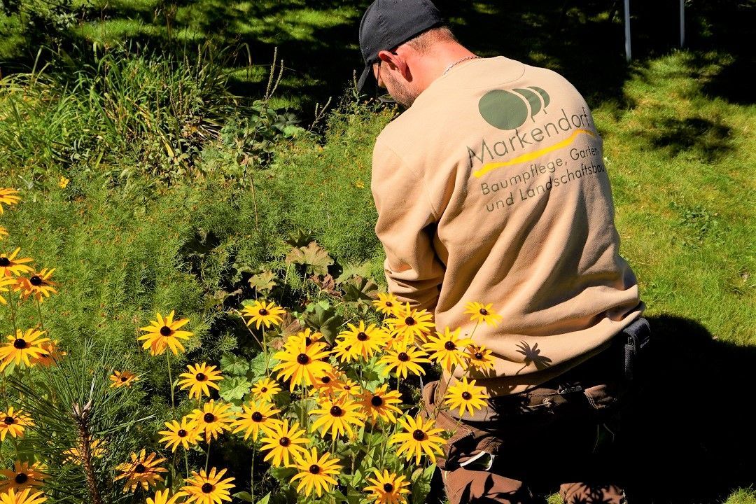 Gärtner beschneidet einen Busch