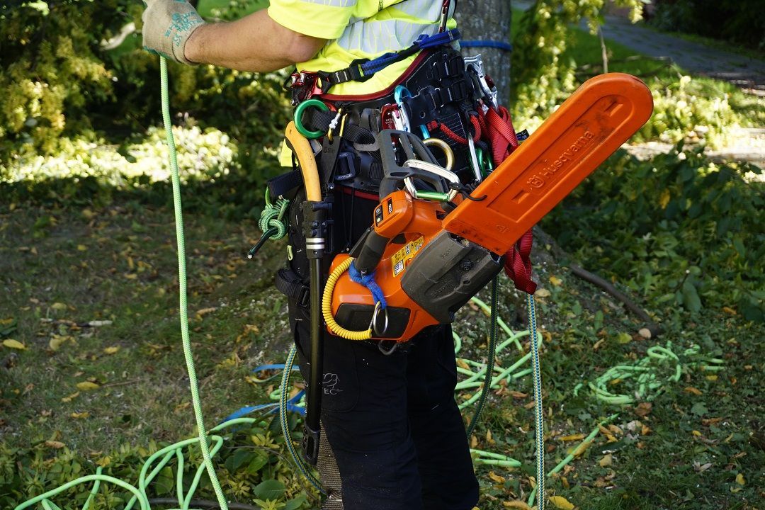 Baumarbeiter in Baumkrone