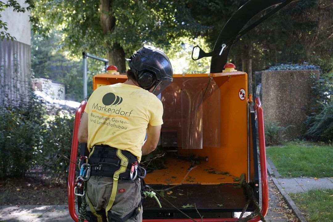 Steinbeet mit kleinen Büschen