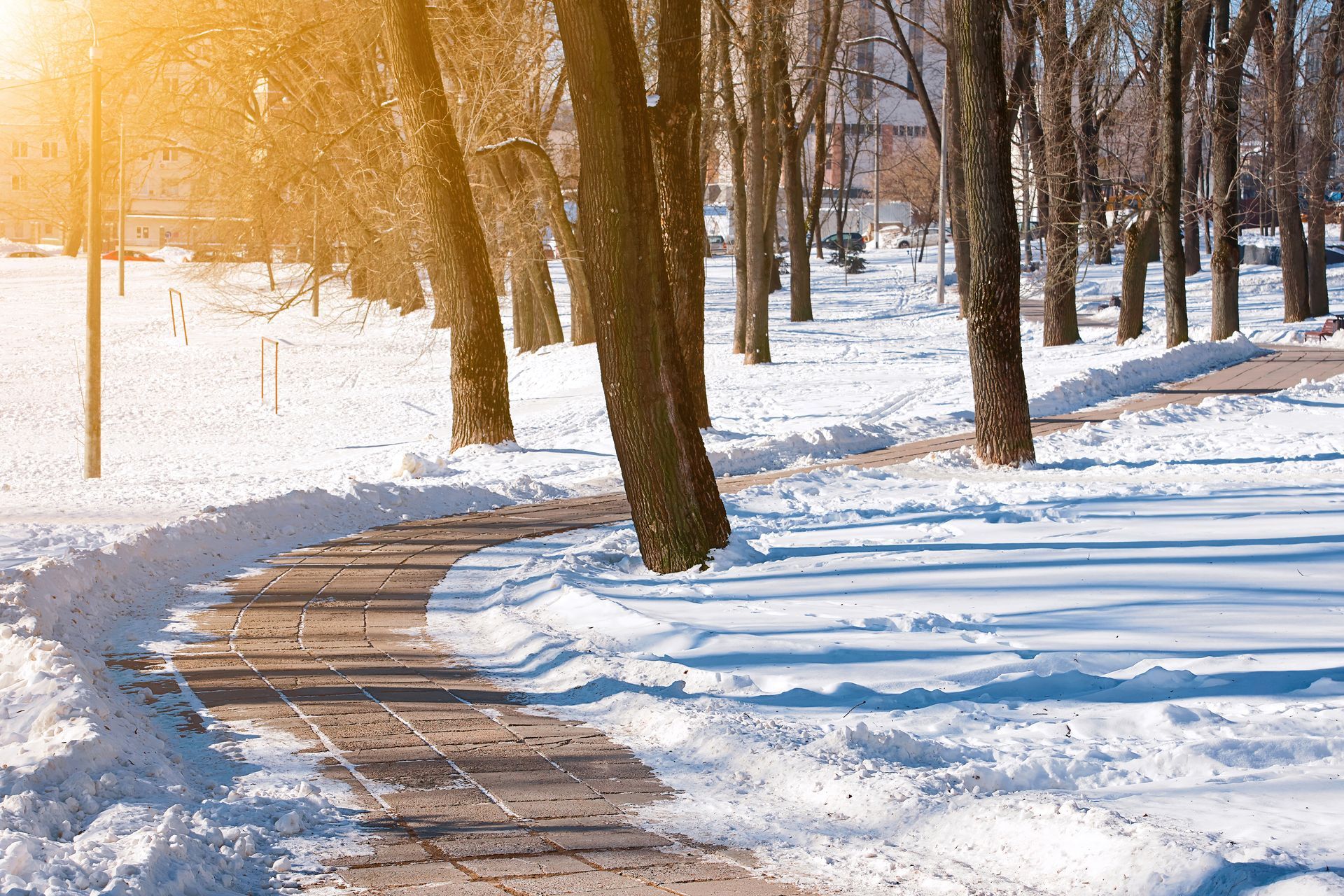 Verschneite Landschaft mit Bäumen, Weg frei vom Schnee