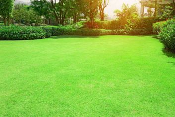 Grünfläche mit gepflegtem Rasen