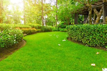 gepflegte Gartenanlage