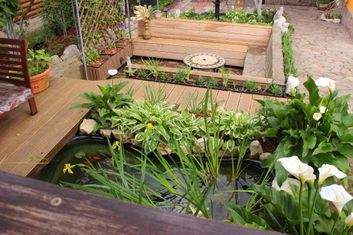 Teichanlage in einem Garten