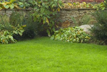 Garten mit Rasenfläche und Büschen