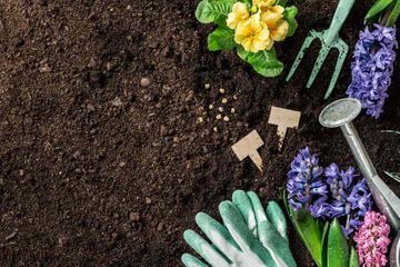 Icon Blumenbeet mit Blüten und Gartengeräten