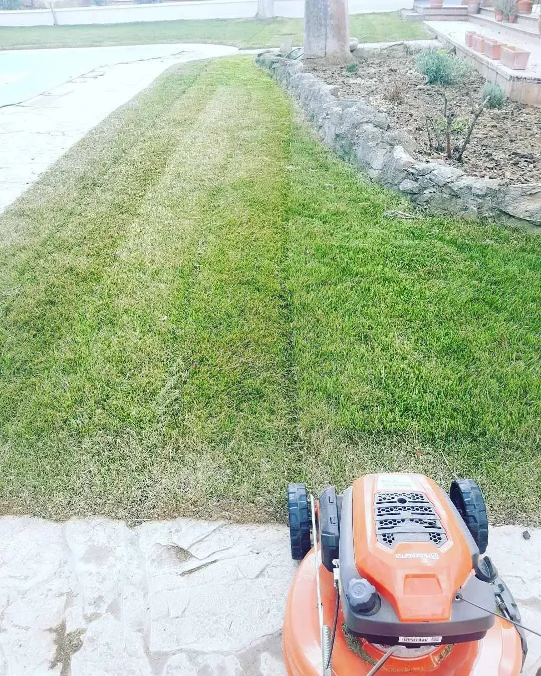 Una cortadora de césped está cortando un césped verde y exuberante al lado de una piscina.