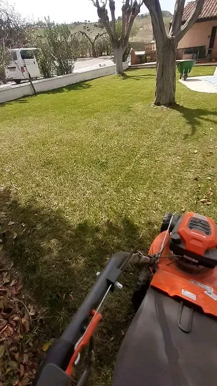 Una cortadora de césped se encuentra sobre un césped verde y exuberante.