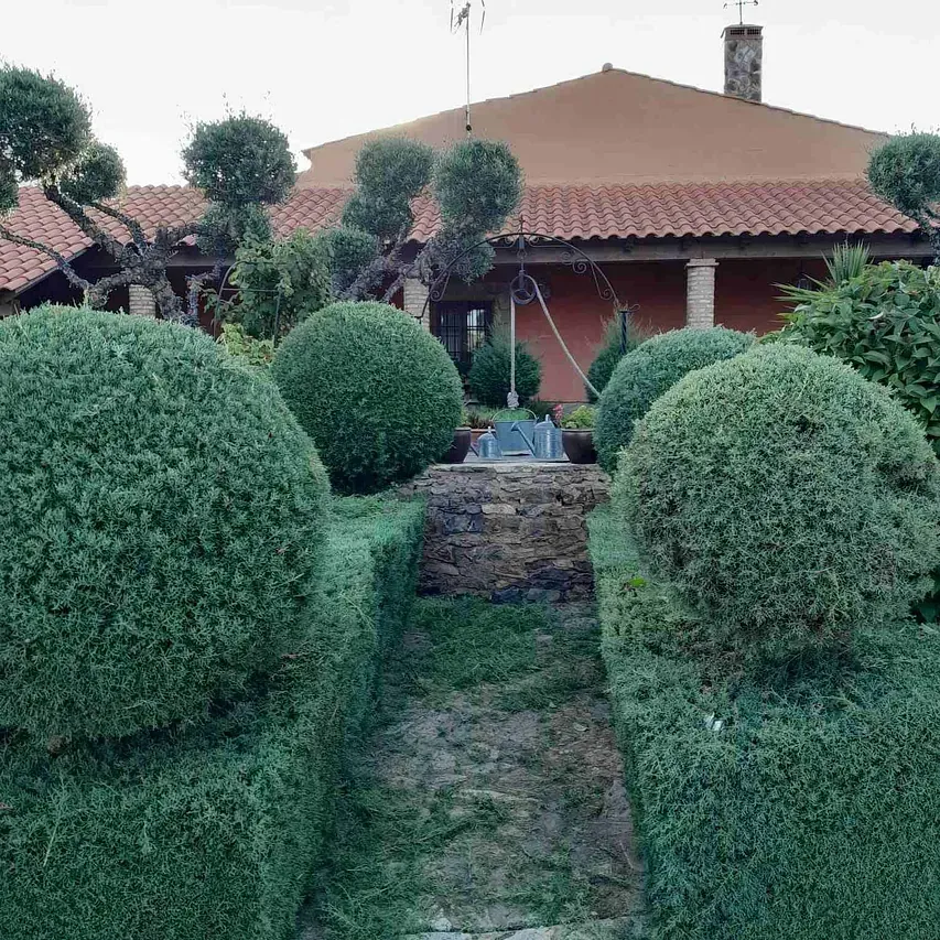 Una casa con muchos arbustos delante de ella.