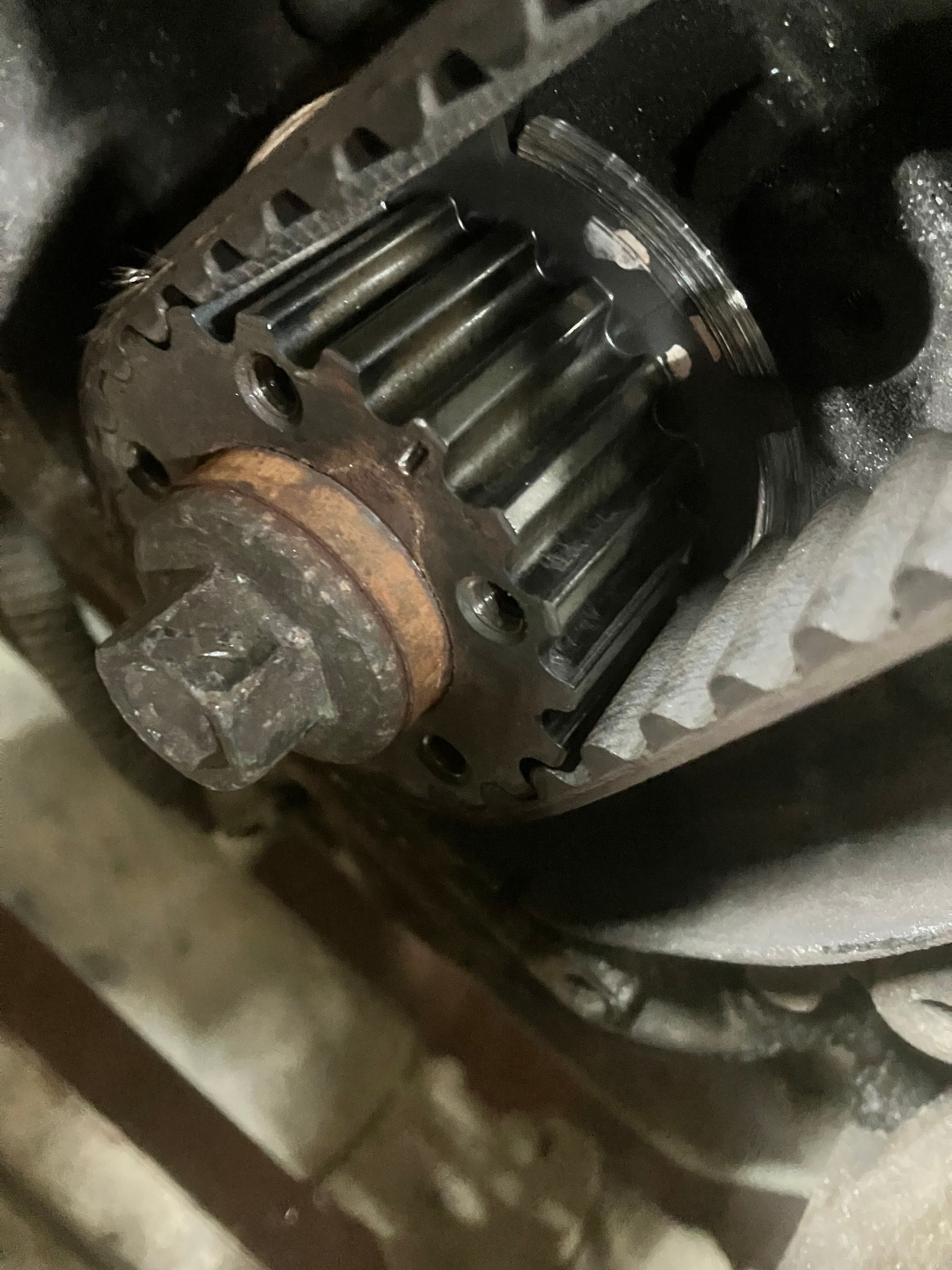 Étagères avec un stock de filtres pour voiture.