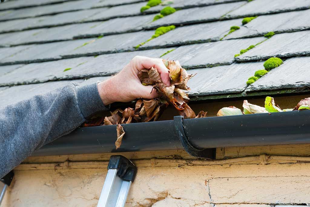 Inspection manuelle des débris provenant d'une gouttière de toit obstruée sous des bardeaux gris