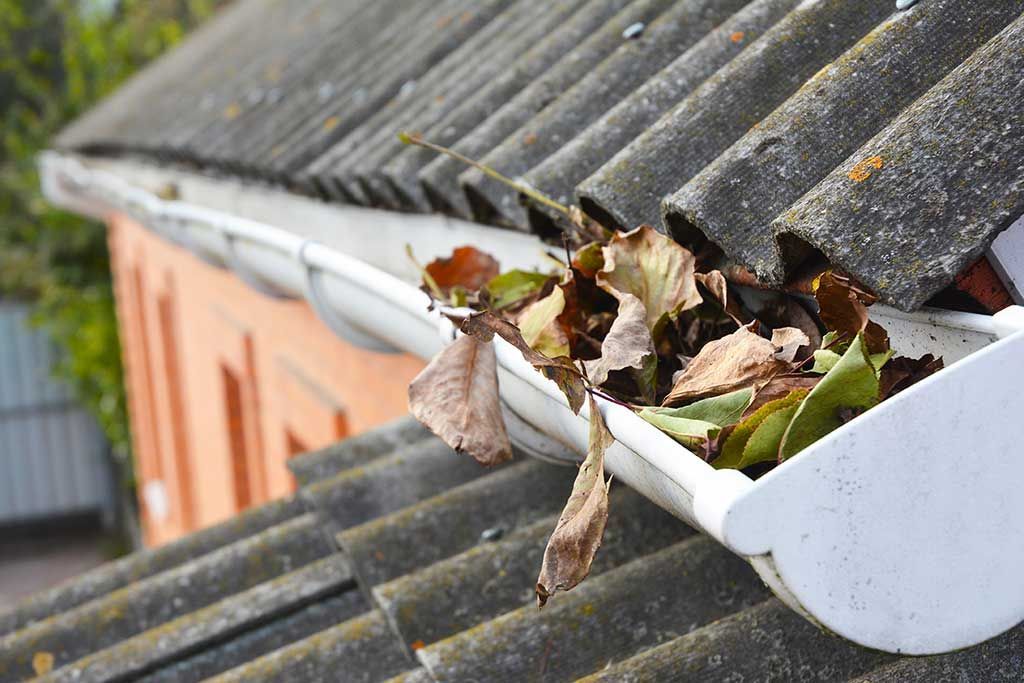 Gouttière obstruée par des feuilles sur un toit gris à côté d'un bâtiment orange