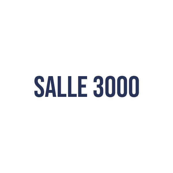 Logo Salle 3000