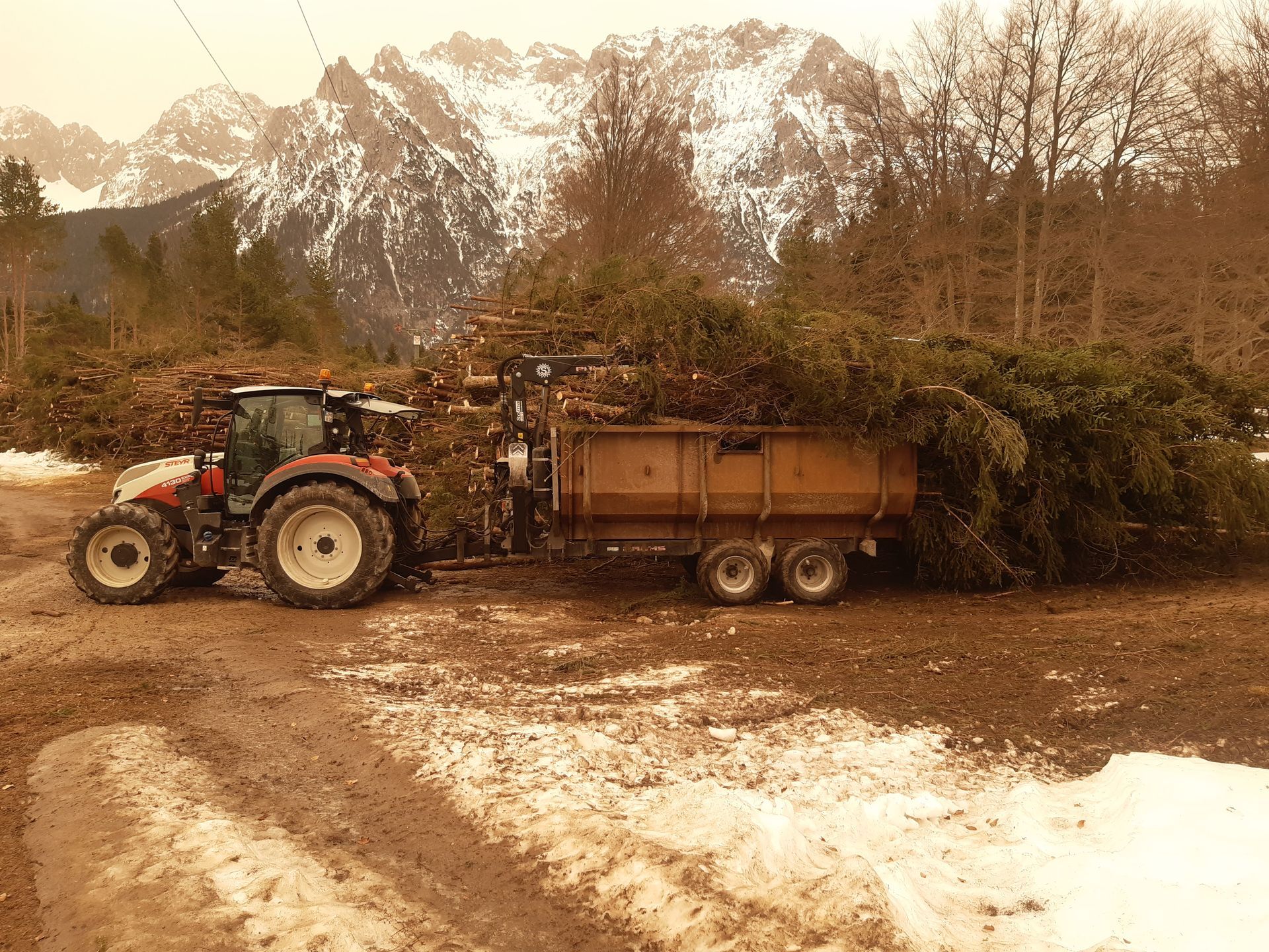 Traktor mit beladenem Anhänger voller Äste bei Forstarbeiten vor Gebirgspanorama.