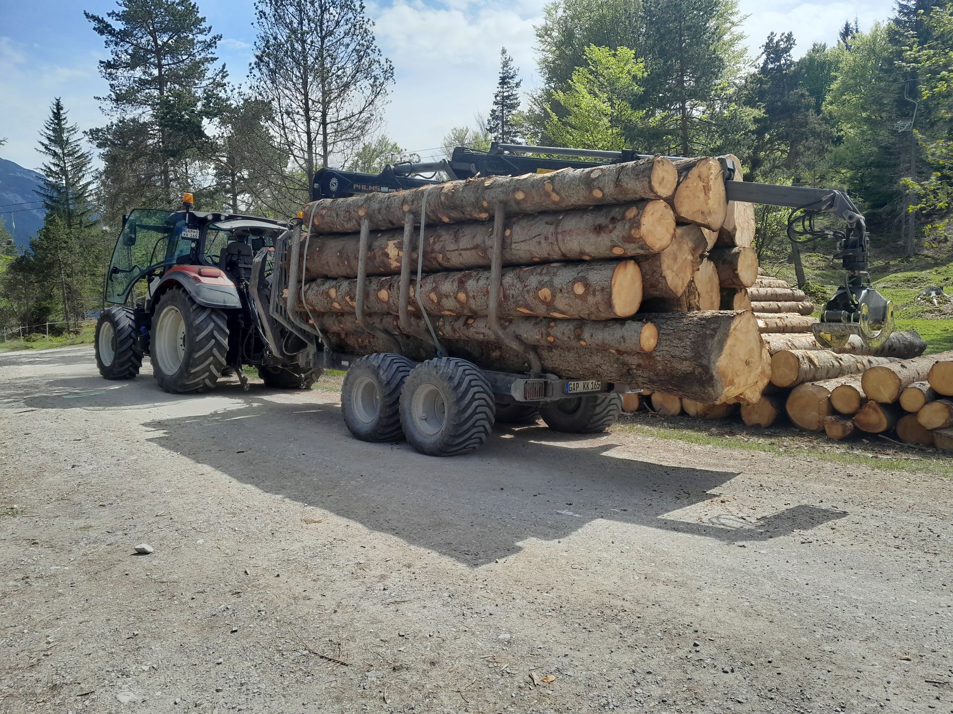 Traktor mit beladenem Anhänger voller Baumstämme bei Forstarbeiten