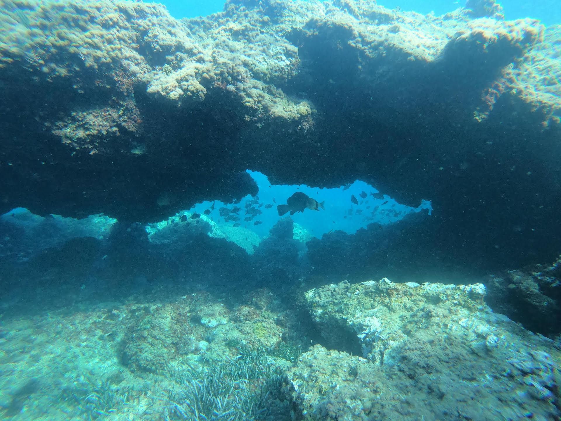 Vista submarina de una cueva rocosa de coral con agua azul brillante al fondo.