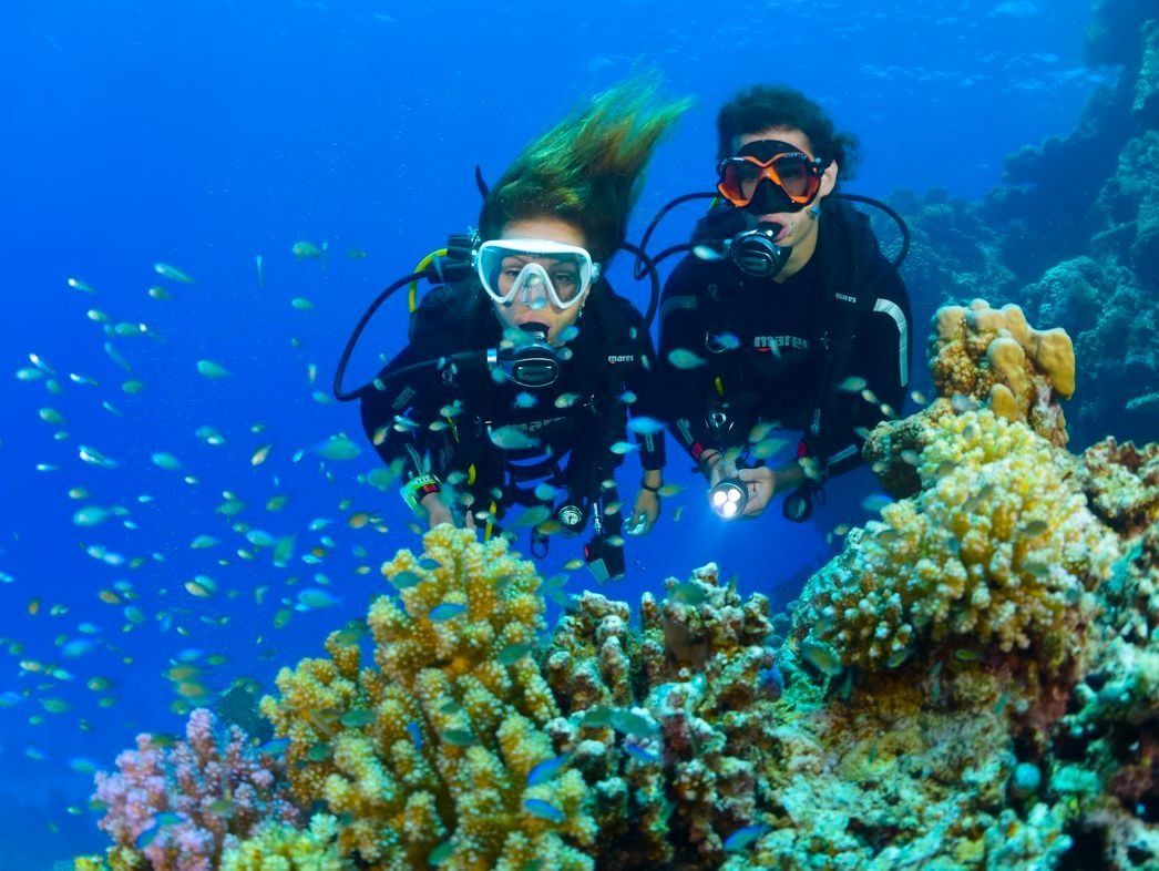 Dos buceadores nadando sobre un arrecife de coral en aguas cristalinas de color azul.